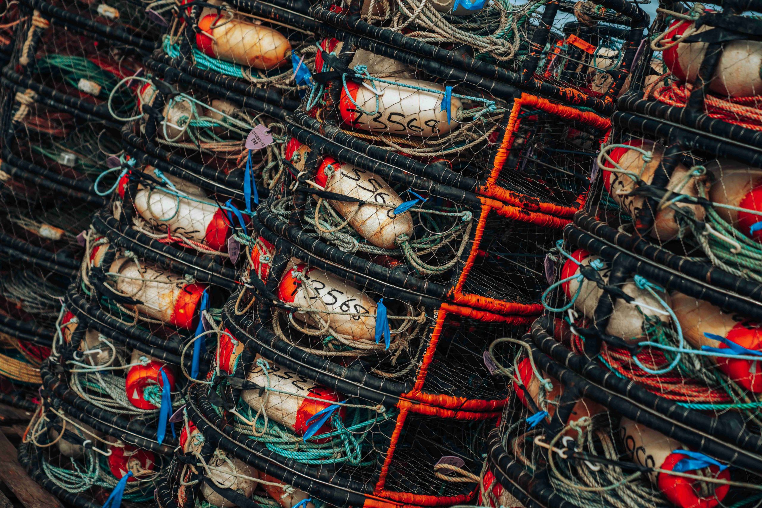 meritt-thomas-I9y_6J-HhY8-unsplash